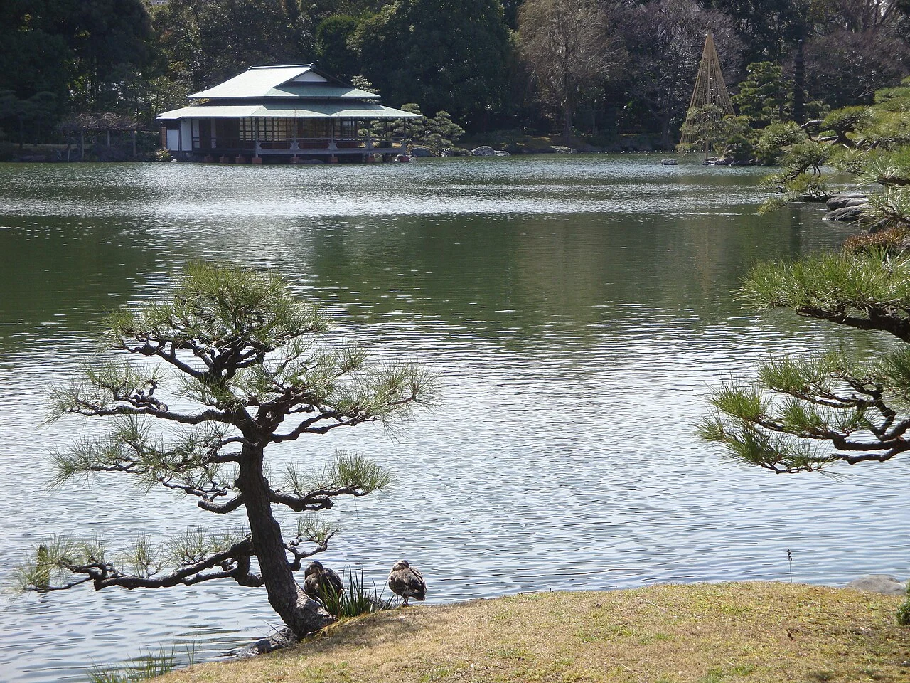 Kiyosumi Gardens · 기요스미 정원