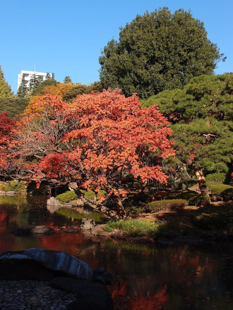 Kyu-Furukawa Gardens · 구 후루카와 정원